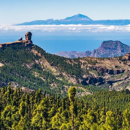 Lägenhet Julia's Sweet Mesa Y Lopez